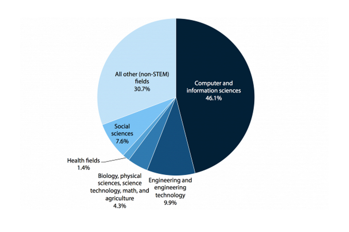 Majors of college graduates (2003–2004 freshman cohort) in IT jobs one year after graduation, 2009
