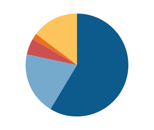 A multi-colored pie chart representing the components of CEO pay, with Awards, vested being more than half.